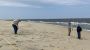 sandy hook