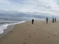sandy hook