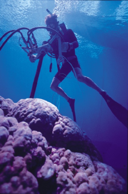 elnino diver