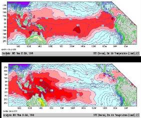Sea surface temperature map of 1997-98 ENSO (upper) compared to normal conditions (lower) in 1999. Our lab conducted oceanographic and coral reef studies of ENSO aboard the R/V MOANA Wave (cruise: 97-101) during the peak ENSO conditions in 1997/98.