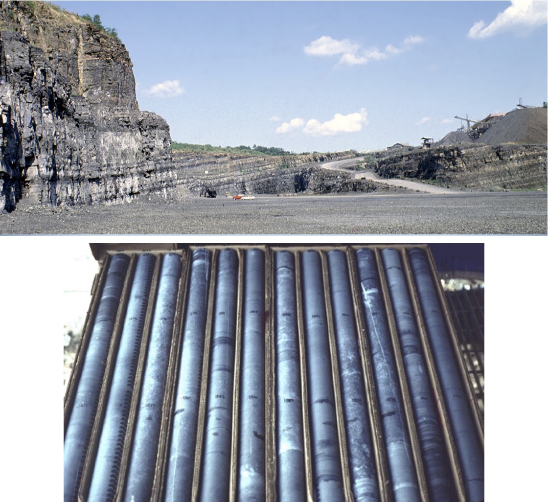 Lockatong Formation from the Newark rift basin
