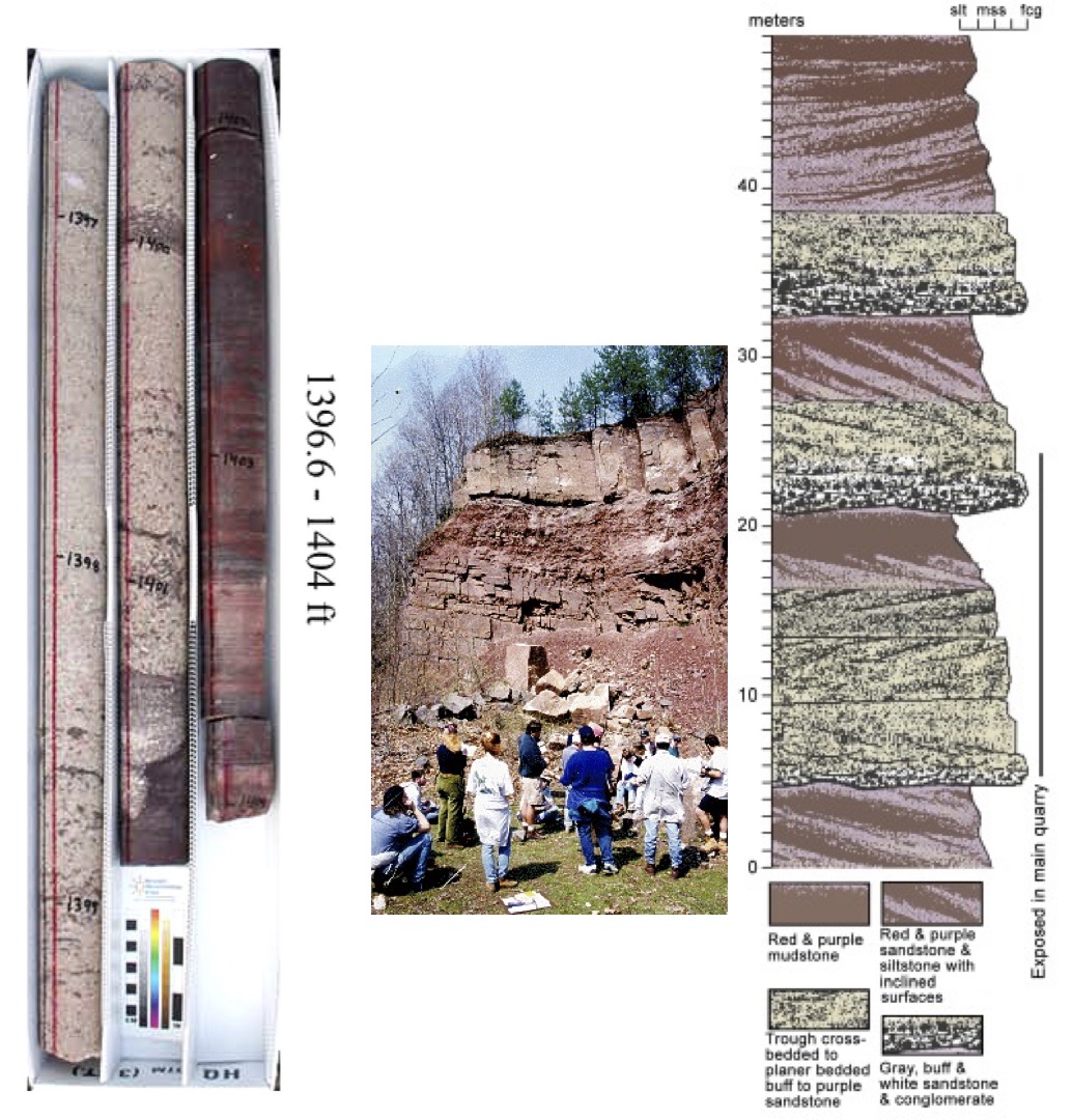 Stockton Formation from the Newark rift basin