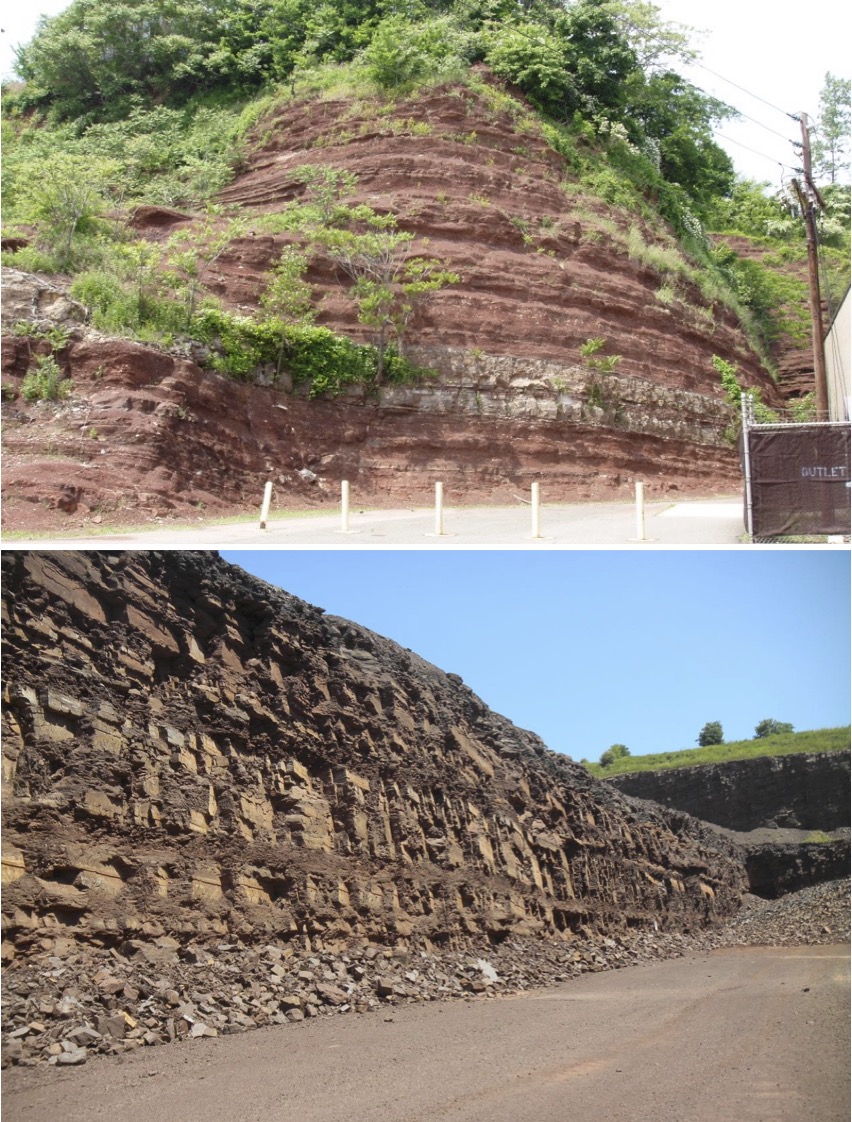 Passaic Formation from the Newark rift basin