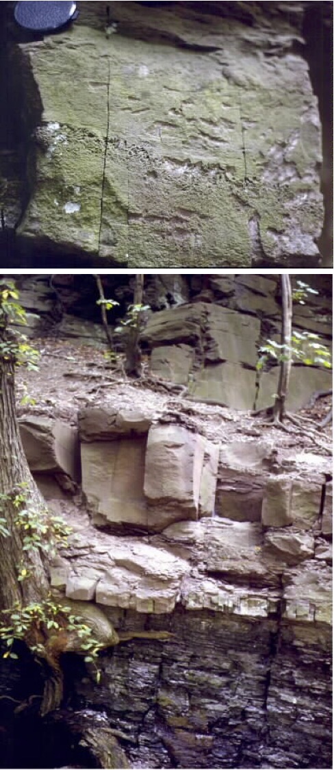 Passaic Formation from the Newark rift basin