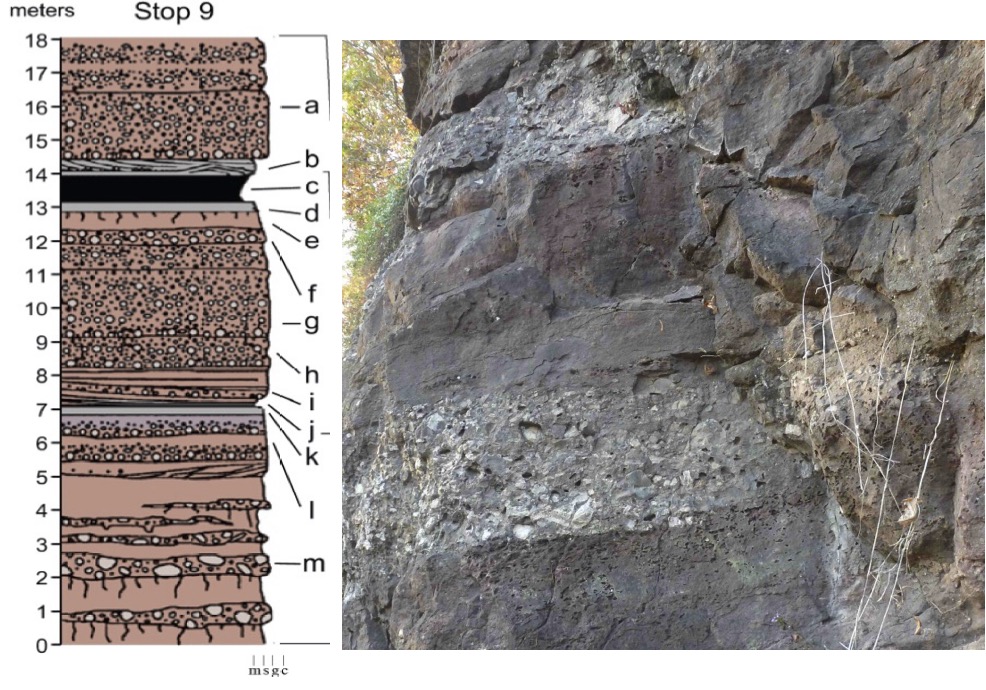 Passaic Formation from the Newark rift basin